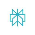 پرپلکسیتی Perplexity